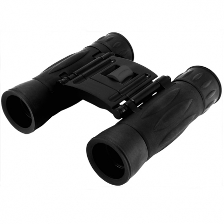 Binoculars Levenhuk Atom 10x25